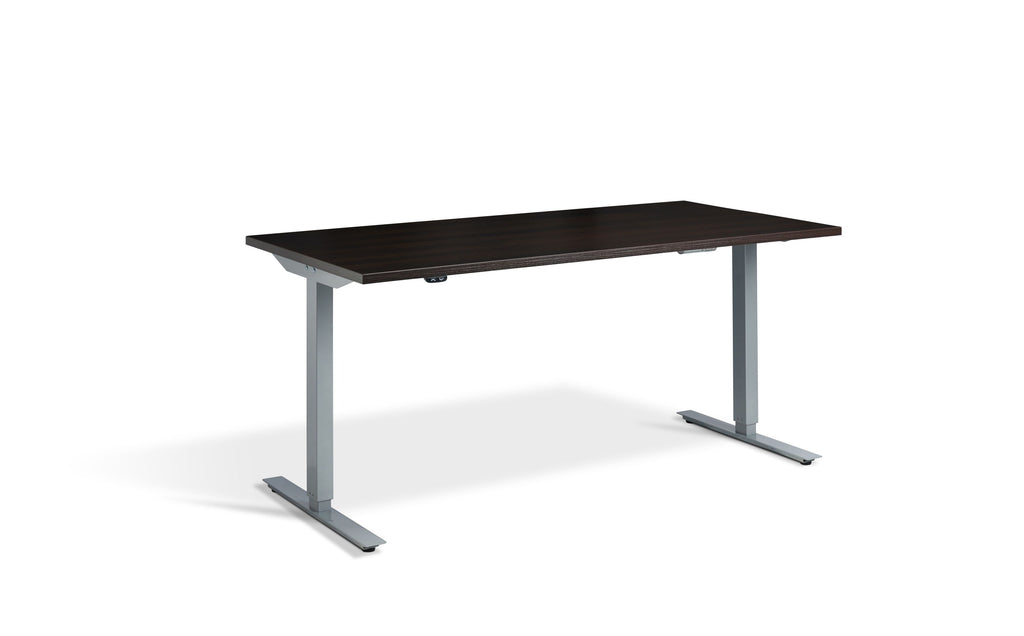SitStand Core Electric Standing Desk - Silver Frame